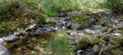 ladysmith britishcolumbia canada stream creek rocks panorama landscape hiking
