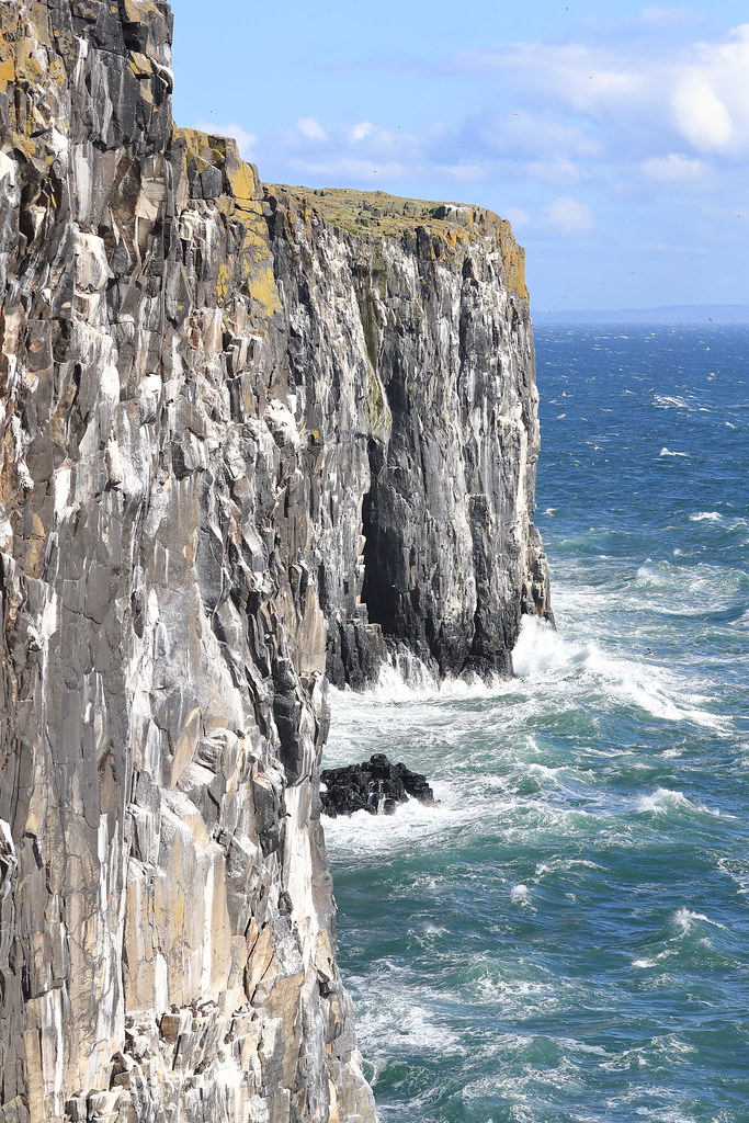 Isle of May North Cliffs