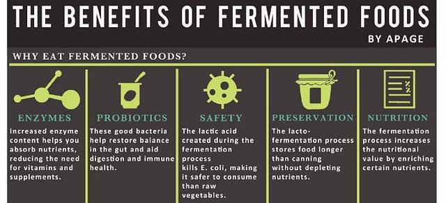 Fermented Foods.jpg