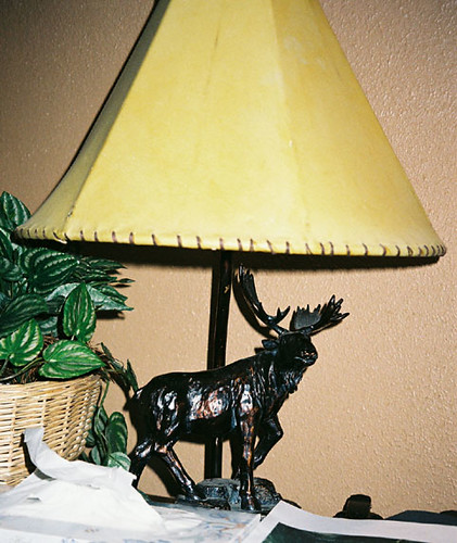 lamp montana moose lodge