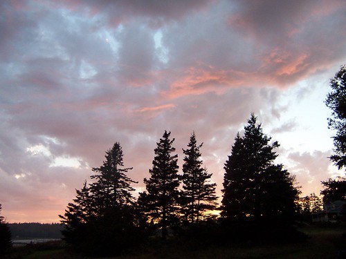 trees sunset clouds maine stonington