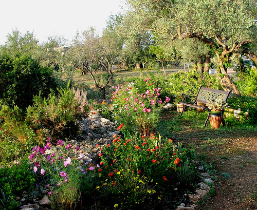 flowers españa sunrise bench spain catalunya olivetrees mywinners marlis1