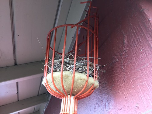 Bird's nest in the fruit picker, again.