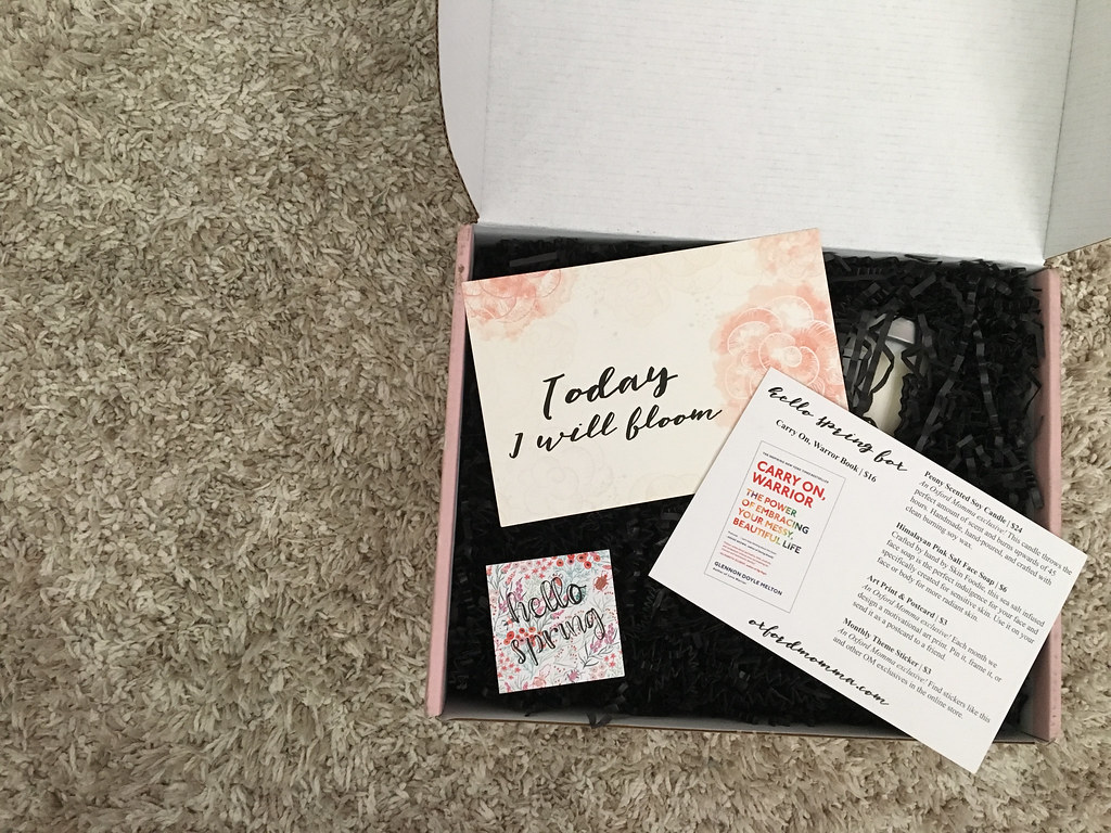 Oxford Momma Box Review