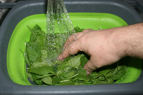 22 - Spinat waschen / Wash spinach