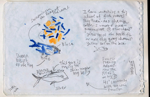 Nina Khashchina Sketchbook #113: Trip to Bonaire - Underwater Sketching / Scuba Diving with a Sketchbook