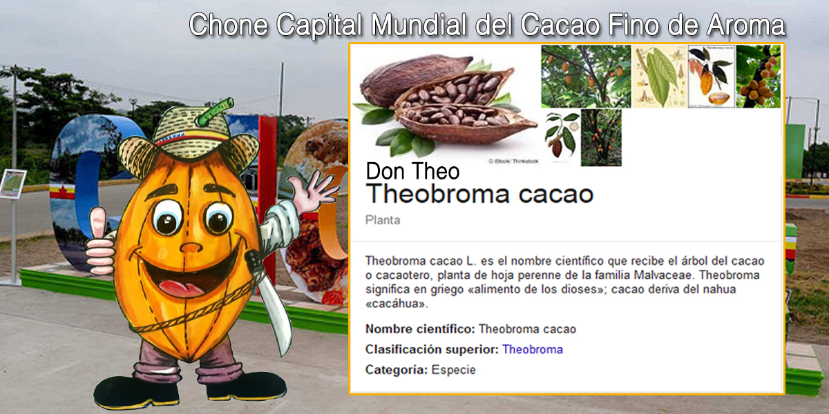 Chone Capital Mundial del Cacao Fino de Aroma