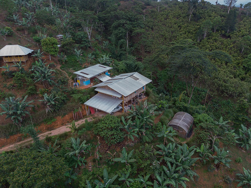 farm tropicalfarm ecuador permatree birdview amazonas drone