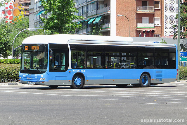 os ônibus de Madri