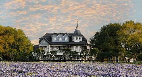texas brenham chappellhill wildflowers bluebonnets beautiful house spring prairie flowers trees sunset clouds wyojones np