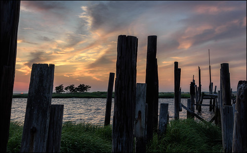 post posts dock bird sunset twilight tree color nature summer