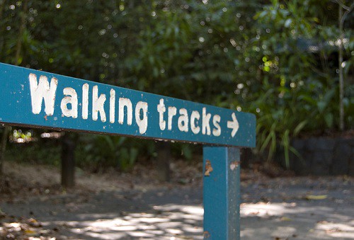walking track