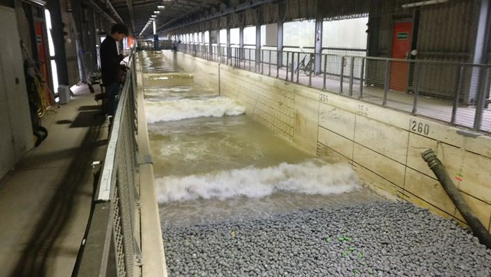 Waves impacting the revetment tested in the large scale flume