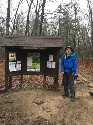 hike50nct ntsa50 findyourway hike100nct northcountrytrail nct findyourtrail findyourpark getoutside greatnorthcollective exploremore discover blueblazes upnorth greatoutdoors adventuremore hiking hikemoreworryless outdoors puremichigan lowerpeninsula manistee