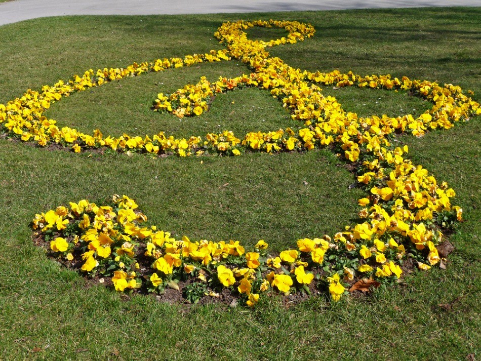 flowers growing in a field in the shape of a treble clef
