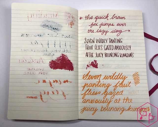 Stifflexible Notebooks from @CarolLuxury 20