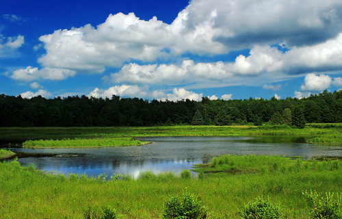 pennsylvania lackawannacounty waynecounty upperklondikepond lehighriver stategameland312 stategamelands312 poconos hiking wetland headwaters landscape sky clouds stratocumulus summer nature creativecommons