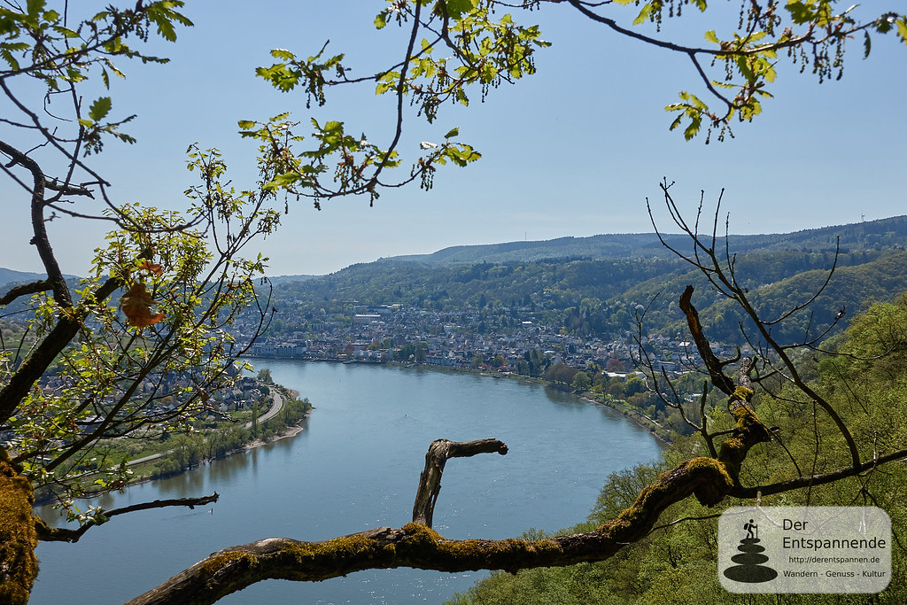 Blick auf Rhein und Boppard