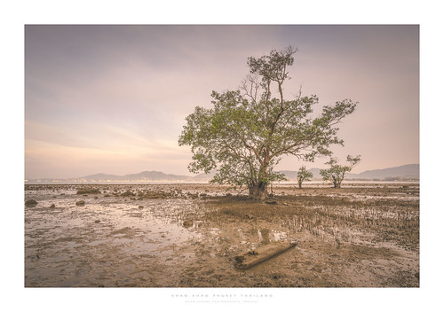 thailand phuket khaokhad tide mangrove chalong driftwood mud sony