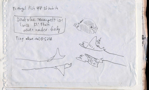 Nina Khashchina Sketchbook #113: Trip to Bonaire - Underwater Sketching / Scuba Diving with a Sketchbook8_216