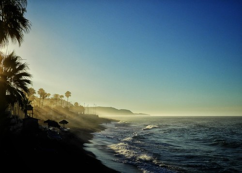 sunrise morning summer beach nerja spain trees palms