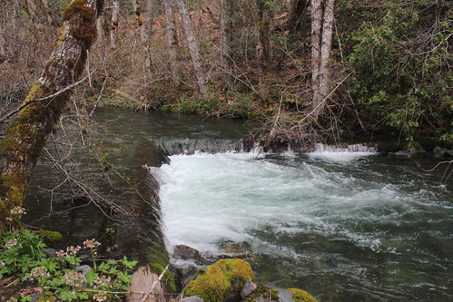 taylor creek english flat rogue river siskiyou national forest oregon hiking briggs galice indian mary park