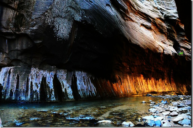 The Narrows, Zion National Park (33)