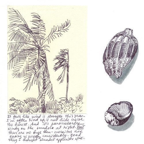 Sketchbook #113: Trip to Bonaire - Sketching above water