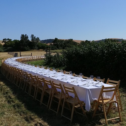 instagram farm table dinner placesetting