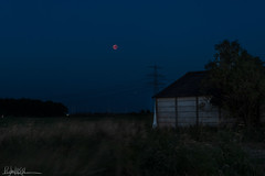 Rising blood moon eclipse over over a dilapidated barn