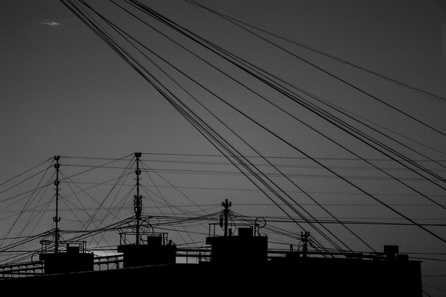 2018.08.05_217/365 - Wires of Big Brother