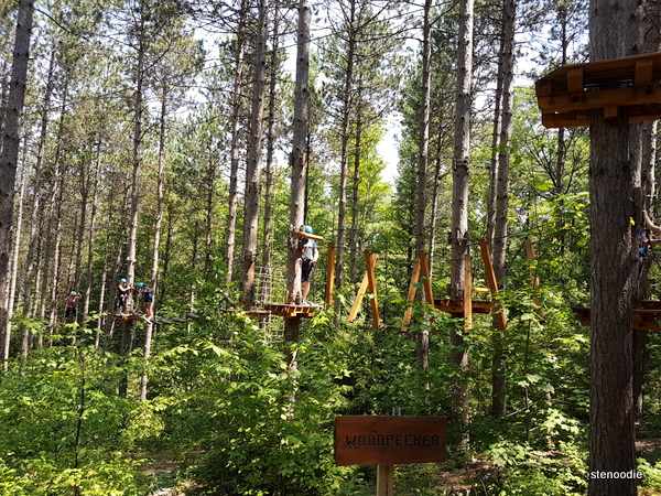 Treetop Trekking beginner courses
