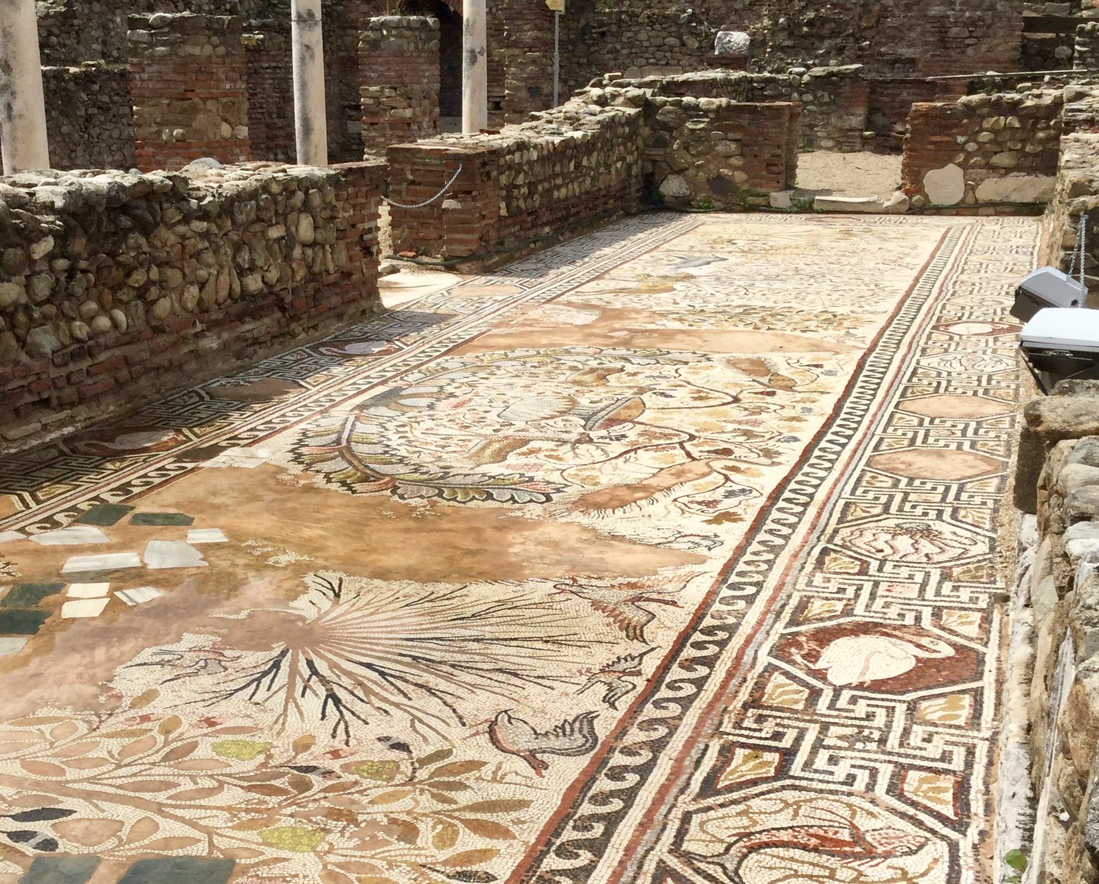201705 - Balkans - Heraclea Lyncestis Ancient Roman Mosaics - 59 of 89 - Bitola, May 27, 2017