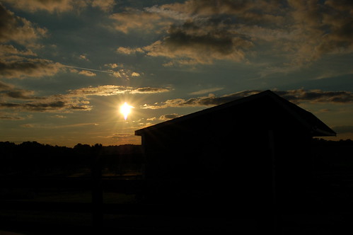 sunset farm kentucky