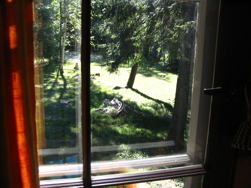 vacation house window view michigan august 2006 judys presqueisle