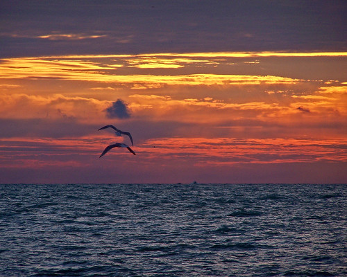 sky chicago color water colors clouds marina sunrise boats illinois seagull north lakemichigan waukegan