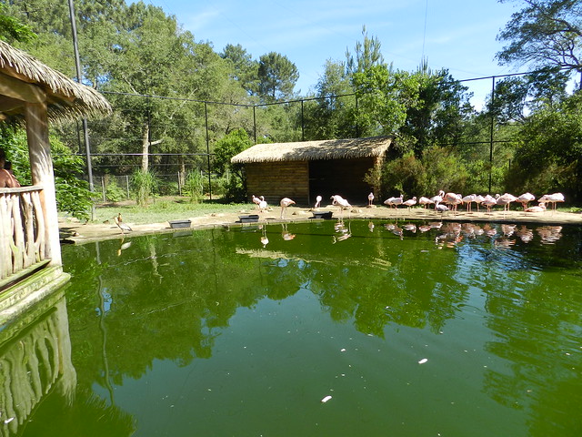 Zoo Labenne