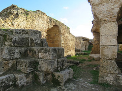 Baths of Antonius (Carthage) #20