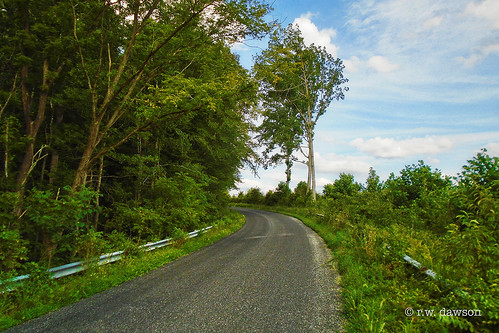 kingandqueencounty virginia va road rural woods landscape
