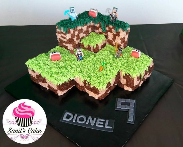 Minecraft Cake by Sanil's Cake