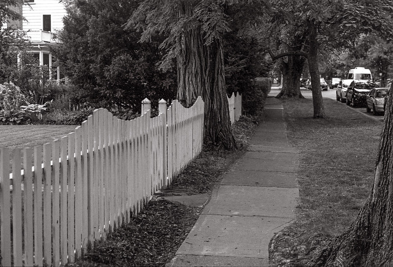 Simcoe St. Picket Fence
