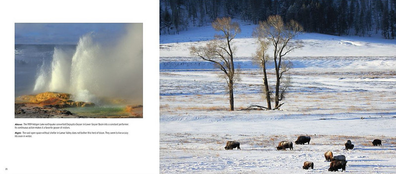 Sample Page of Winter Wonderland in Yellowstone