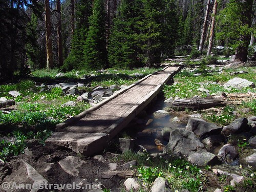 Bridge along the trail to Mt. Agassiz in the Uinta Mountains of Utah