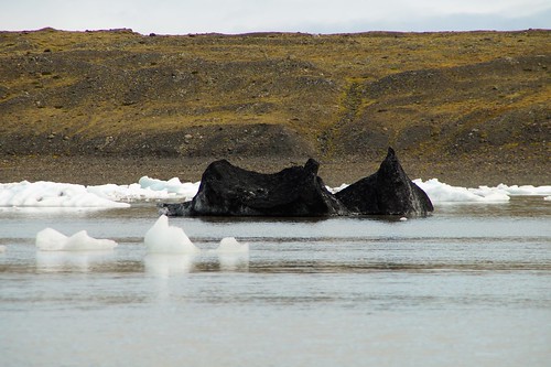 Más glaciares, icebergs, Skaftafell, Svartifoss y Skeiðarársandur - Islandia en grupo organizado (52)