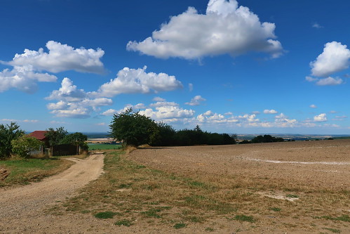 landscape hořice field