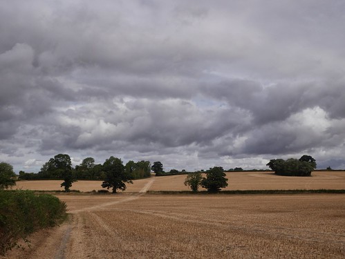 Warwickshire Countryside
