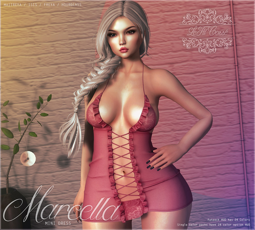 {le fil cassé} Marcella Dress for Blush!