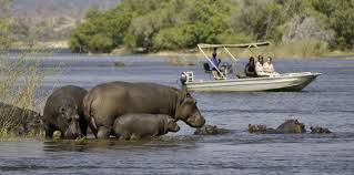 Parques Nacionales y reservas de Botswana: resumen y datos varios - BOTSWANA, ZIMBABWE Y CATARATAS VICTORIA: Tras la Senda de los Elefantes (17)