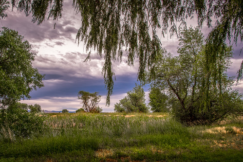 solemn california d850 colorful quiet tree landscape tulelake unitedstates us