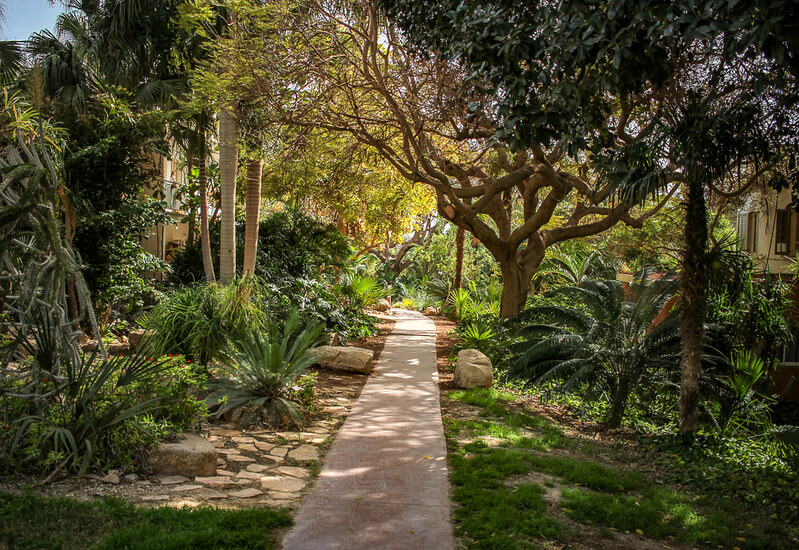 Jardín Botánico Ein Gedi